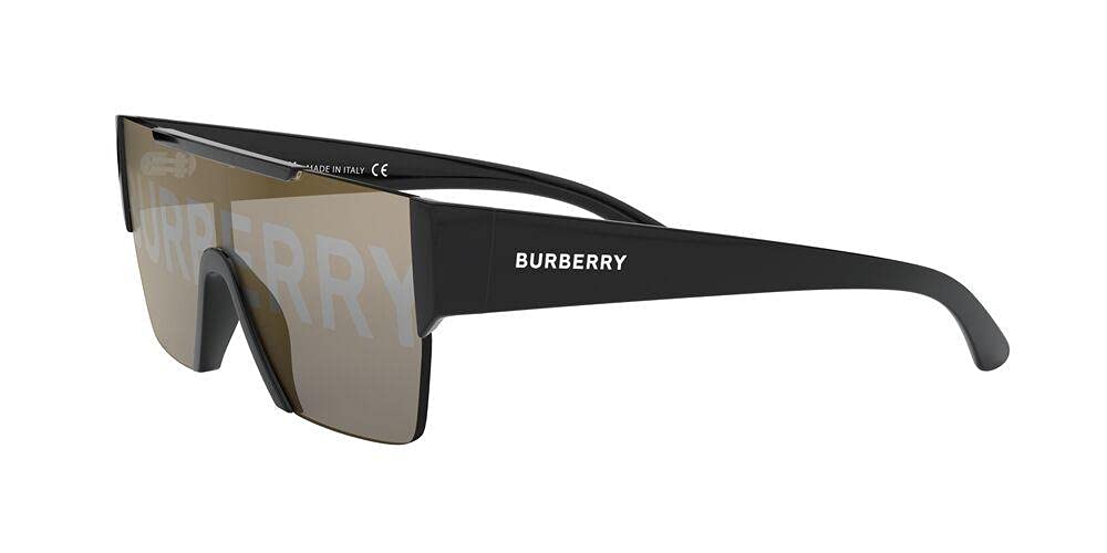 BURBERRY Sunglasses BE 4291 3001/G Black